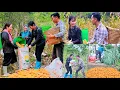 Download Lagu Wild but Heartwarming Life: Single Mom Grateful for the Kindness of Strangers _ Ly Thanh Thuy