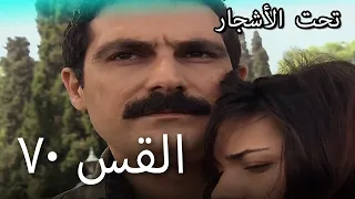 70سنوات الضياع 
