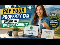 How to pay your property tax online in Washoe County