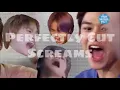 Lagu NCT Perfectly Cut Screams
