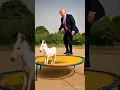 Download Lagu Trump \u0026 Donkey Funny Bounce 😂 | Crazy Jumping Scene on Trampoline #Trump #Funny #Donkey
