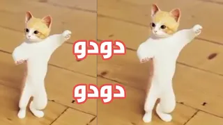 دودو يا حبيبتي    اغنية بأسم دودو و الحجر الكريم اللي يليق على اسم دودو    دودو دودو  دندنها
