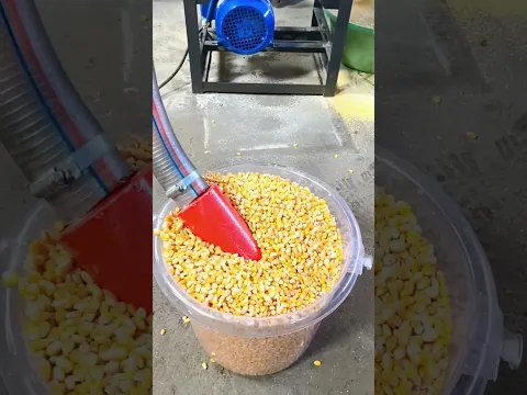 सांप नहीं, मशीन का पाइप निकला! 😂 #MachineComedy #FunnyFamily #CornFun