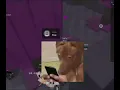 2025 BESTCONDO GAME JOIN OR DISCORD SERVER ON MY BIO