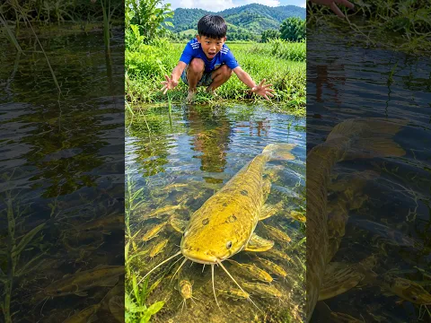Survival Skills: SIMPLE and USEFUL with Fish trapping tool #survival #bushcraft #fishingvideo