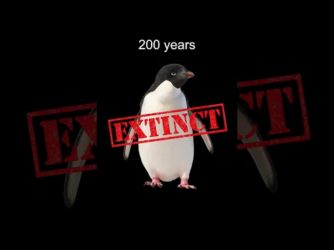 Penguins have been extinct for almost 200 years