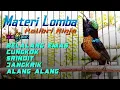 Lagu KOLIBRI NINJA GACOR FULL TEMBAKAN MEWAH UNTUK MASTERAN KONIN PAGI , SIANG DAN MALAM