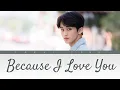 Download Lagu Mark Lee (NCT) - Because I Love You (사랑하기 때문에) Cover song Lirik Terjemahan (Han/Rom/SubIndo)
