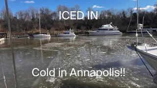 ICED IN/ Cold in Annapolis