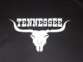 Tennessee Country - Slow Down Sunset ( Country del Juez )