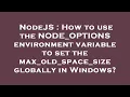 NodeJS How to use the NODE - OPTIONS environment variable to set the max