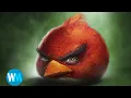 Top 5 Angry Birds