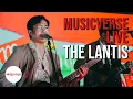 Download Lagu The Lantis at Musicverse Live (2024)