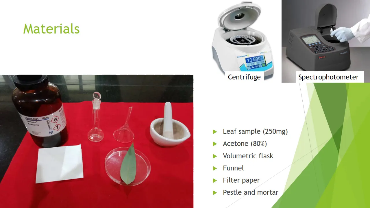 Chlorophyll Extraction and Estimation Using 80% Acetone Method