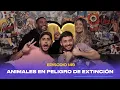 Ep 149 - Animales en peligro de extincion feat The Real Tarzan Laura Leon