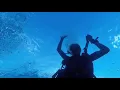 Download Lagu Safety stop with batfish - dusk dive chumphon