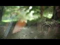 Üç (feat. Ceren Deniz) - Metin Türkcan