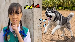 เจอหมา ห้ามวิ่ง ดูคลิปนี้ก่อน | บริ้งค์ไบรท์