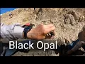 Royal Peacock Virgin Valley Black Opal