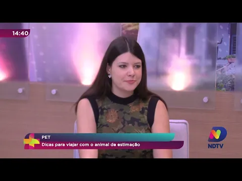 Pet: dicas para viajar com o animal de estimação
