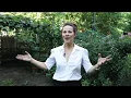 Actress Lili Taylor on Native Plants