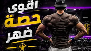   أقوى حصة ظهر                 دندنها