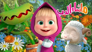 ماشا والدب 🐻👱‍♀️ لماذا نحب الزهور؟ ✨ كرتون للأطفال