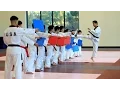 Lagu Amazing Taekwondo Training