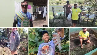VENDA DE MAIS DE 300KG DE PEIXES + TANQUE-REDE FUROU E PERDI OS PEIXES