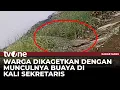 Download Lagu Buaya Muncul di Kali Sekretaris Daan Mogot Jakbar | Kabar Siang tvOne