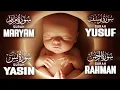 Powerful Quran For Pregnancy | Surah Yusuf, Maryam, Yasin, Ar-Rahman | Habibullah TV