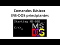 Basic MS DOS Commands - Beginners