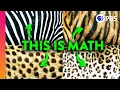 The Mathematical Code Hidden In Nature