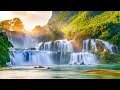 Download Lagu Relaxation Music: soothing water sounds, Full Nature Sound Brain Therapy, Sleep Relaxation, Insomnia