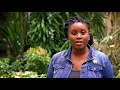UHCL Counseling Degree Program Mynika Collins
