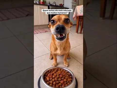 DOGUINHO SÓ COME DEPOIS DE ORAÇÃO E ENCANTA PÚBLICO  #dog #petsfofinhos #pets