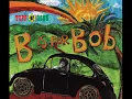 Bob Marley - Three Little Birds (Acoustic version)