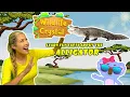 Alligator Facts