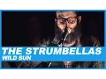 Download Lagu The Strumbellas | Wild Sun