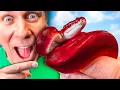 Hatching A Red Ball Python