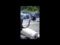 SCARY ACCIDENT ON U S ROUTE 290 EAST