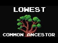 Lowest Common Ancestor of a Binary Search Tree - LeetCode 235 JAVA