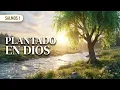 SALMOS 1 🌿 Como Árbol Plantado Junto a Aguas | Canción Cristiana |  Paz y firmeza #salmos #paz