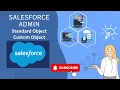 6 Standard Objects Custom Objects Schema Builder Salesforce Admin Concepts