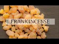 Surprising Benefits of Frankincense Day 44