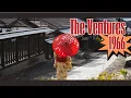 Download Lagu LP - The Ventures On Stuge ENCORE!