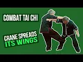 Lagu Combat Tai Chi - Crane Spreads Its Wings