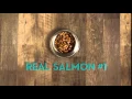 Purina ONE Dog True Instinct Salmon Tuna Dog Food