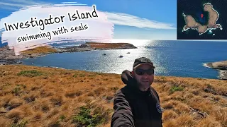 E93 – No Leafy Sea Dragons at Little Boat Harbour, Swimming With Seals at Remote Investigator Island