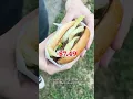 I tried to dine out for a day on only 20 in Eugene Here s what happened